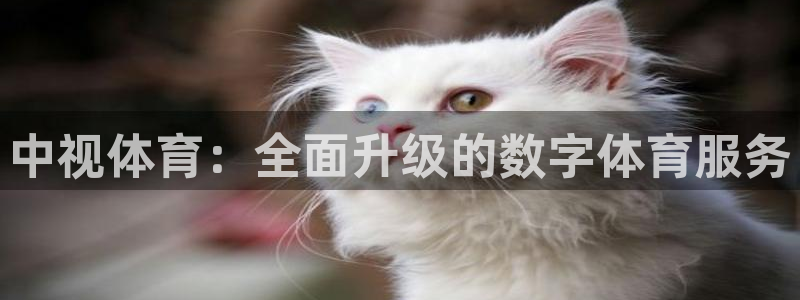 中视体育：全面升级的数字体育服务